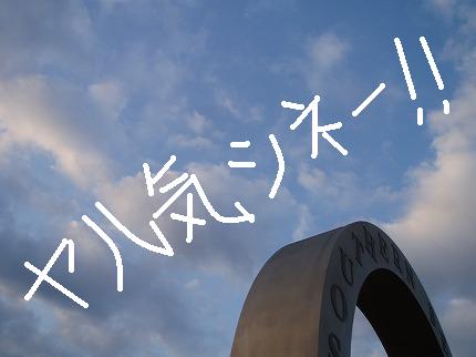 P302020711.jpg